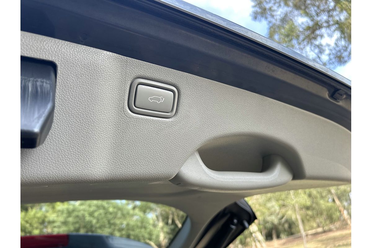 2017 Kia Carnival Platinum YP