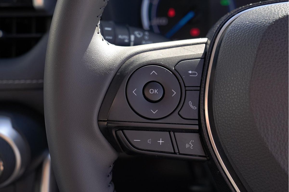 2020 Toyota RAV4 Cruiser AXAH54R