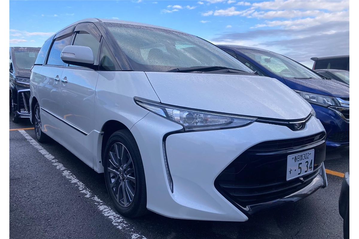 2018 Toyota Estima Welcab