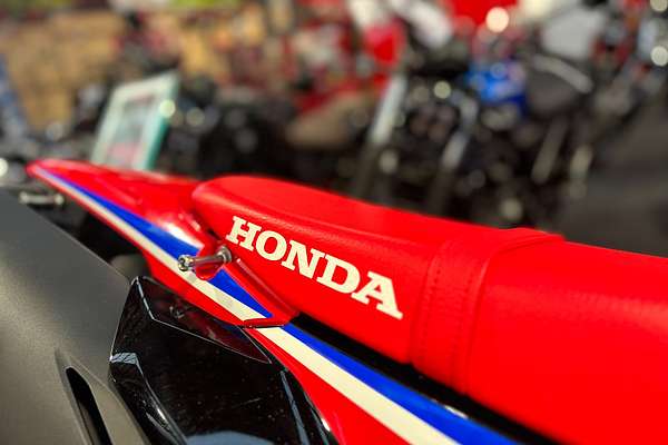 2023 Honda CRF300L RALLY