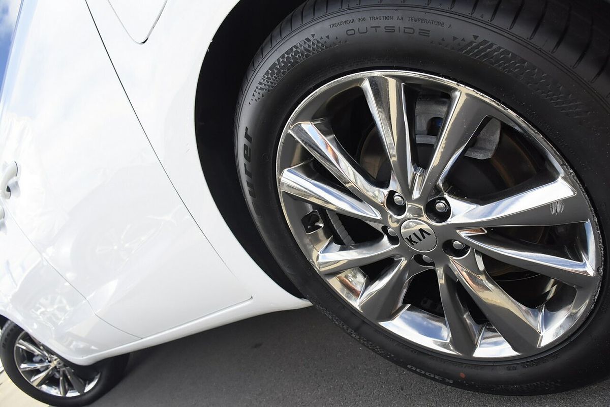2019 Kia Carnival Platinum YP