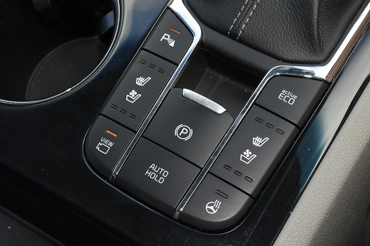 2019 Kia Carnival Platinum YP