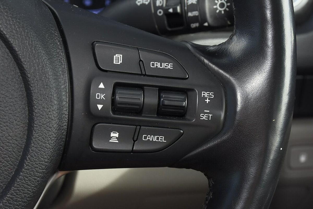 2019 Kia Carnival Platinum YP