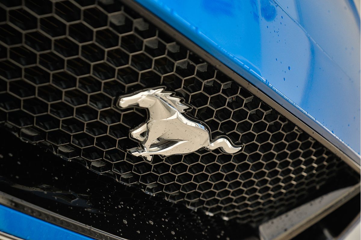2021 Ford Mustang GT FN