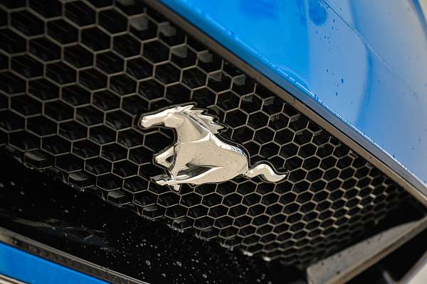 2021 Ford Mustang GT FN