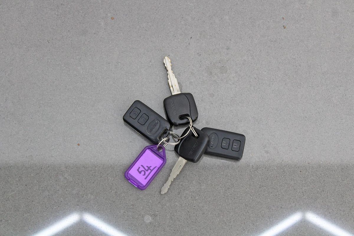 2022 Isuzu N SERIES NLR Traypack N