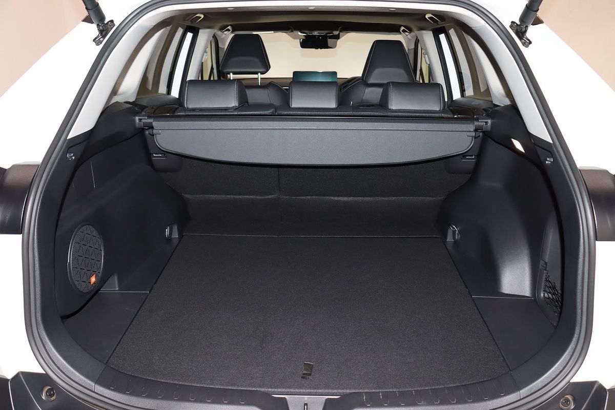 2024 Toyota RAV4 Cruiser AXAH54R