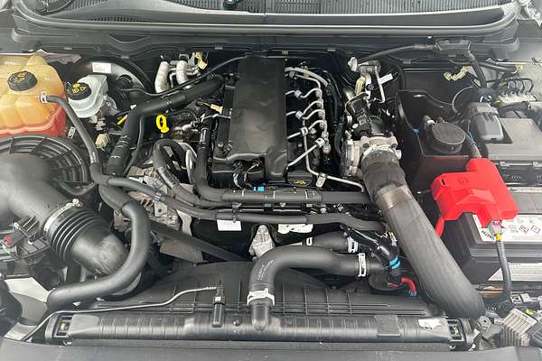 2019 Ford Ranger XL PX MkIII 4X4