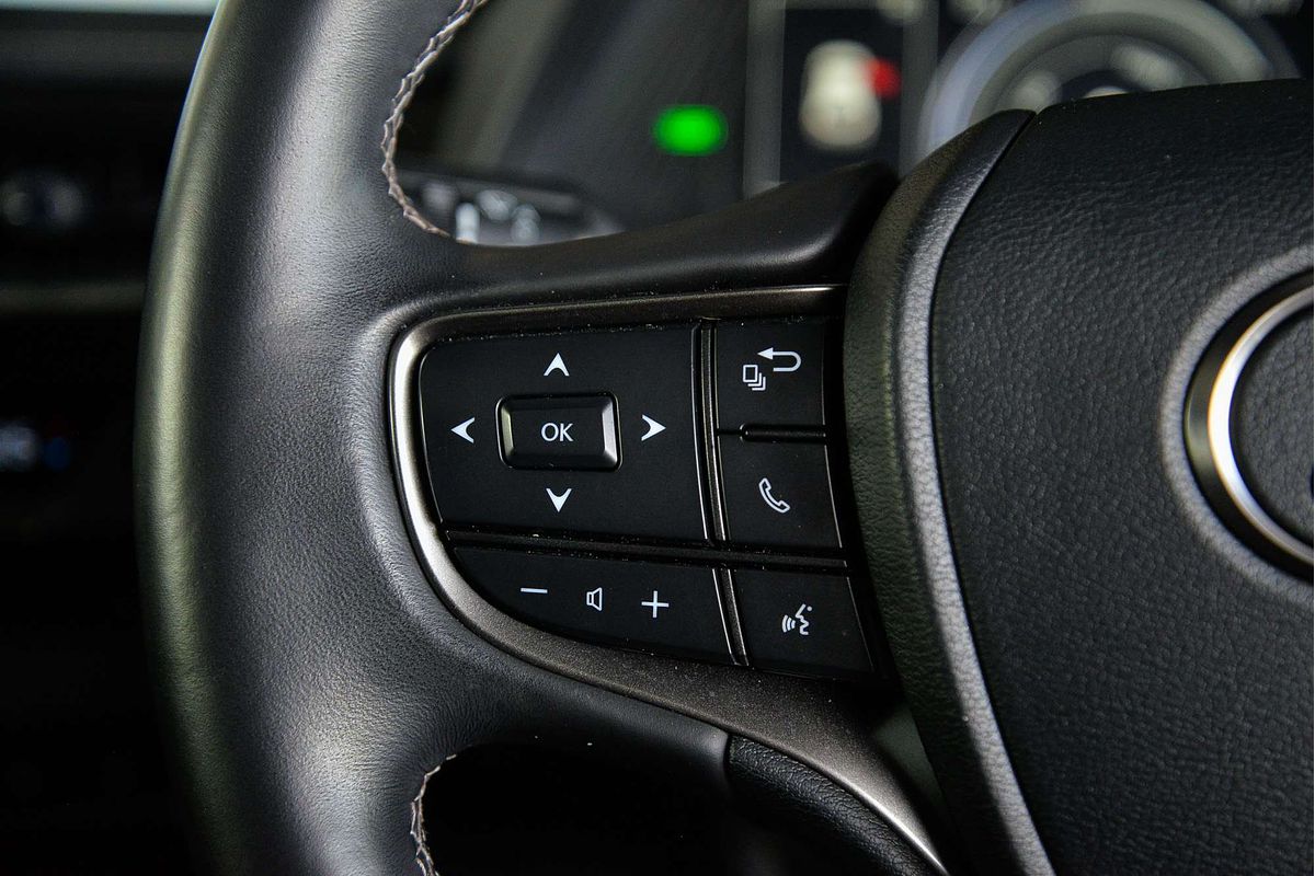 2021 Lexus UX UX250h Sport Luxury MZAH15R