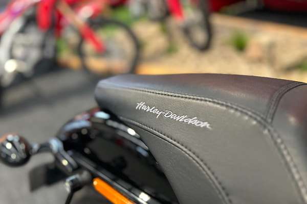 2019 Harley-Davidson SOFTAIL SLIM