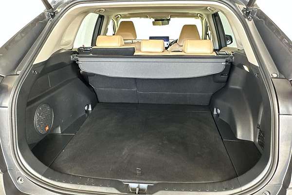 2023 Toyota RAV4 Cruiser AXAH52R