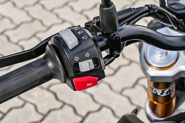 2024 BMW G 310 R G 310