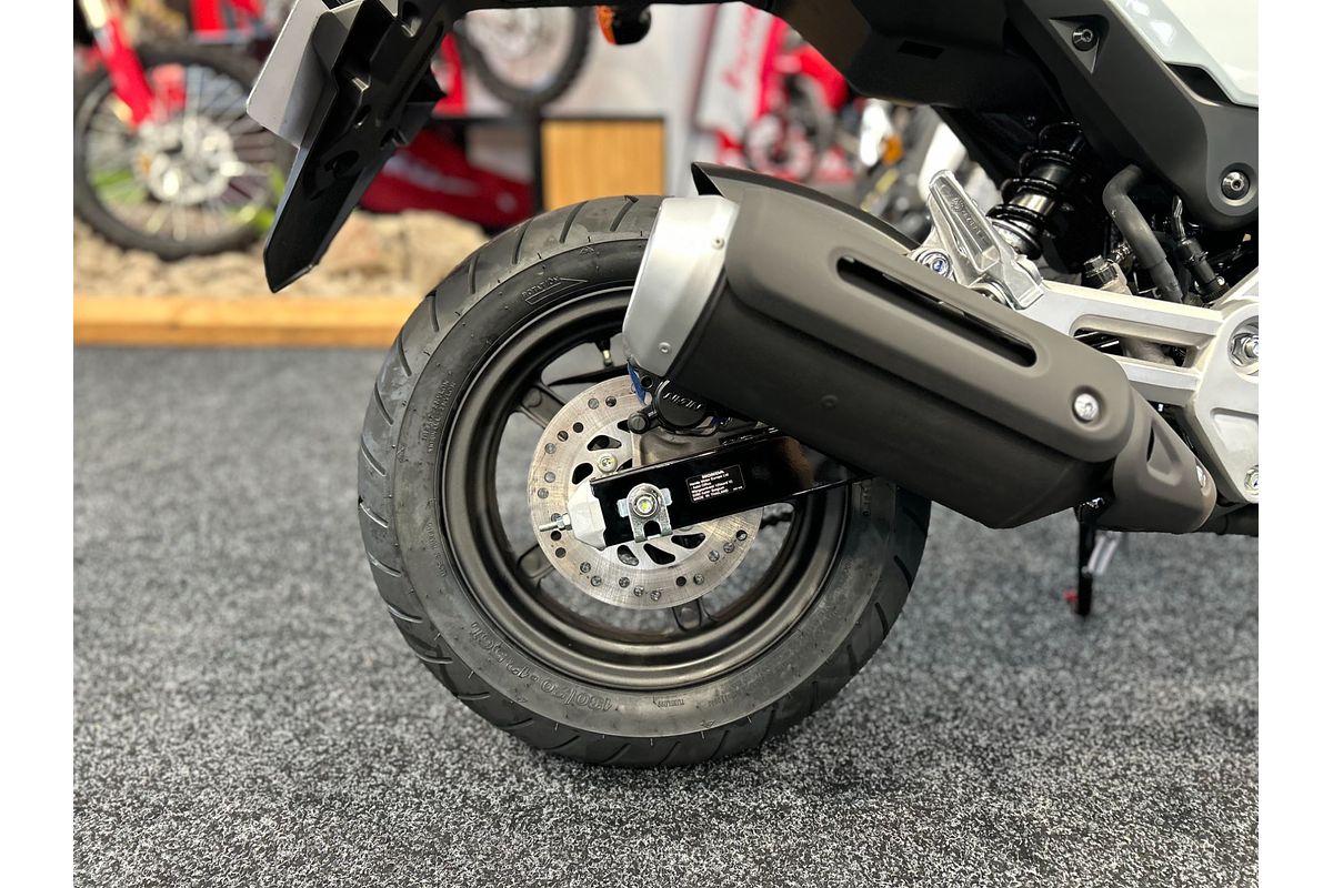 2025 Honda MSX125 GROM