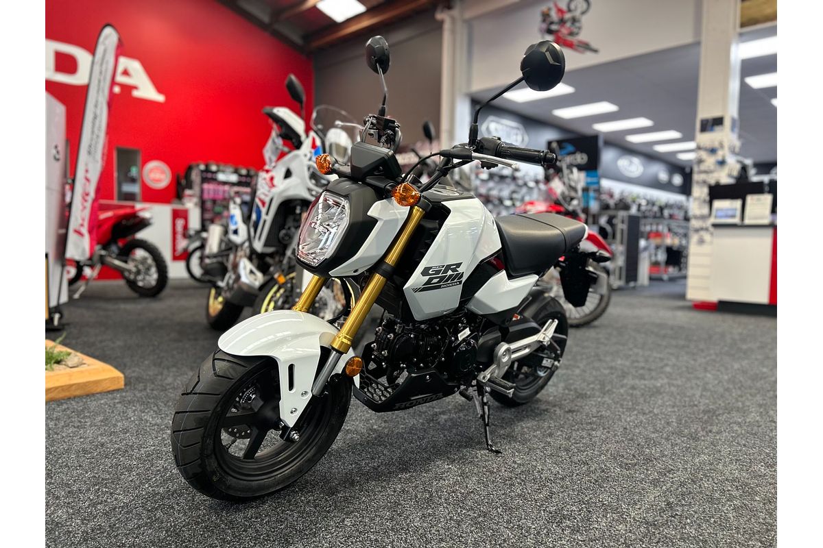 2025 Honda MSX125 GROM