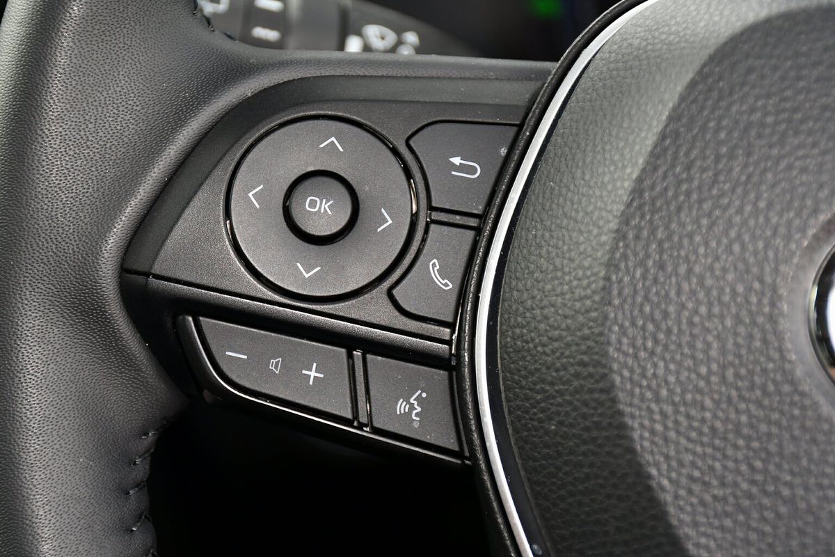 2024 Toyota RAV4 Cruiser AXAH52R
