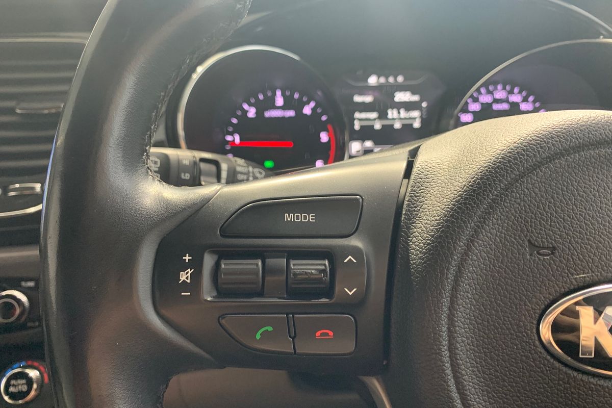 2017 Kia Carnival Platinum YP