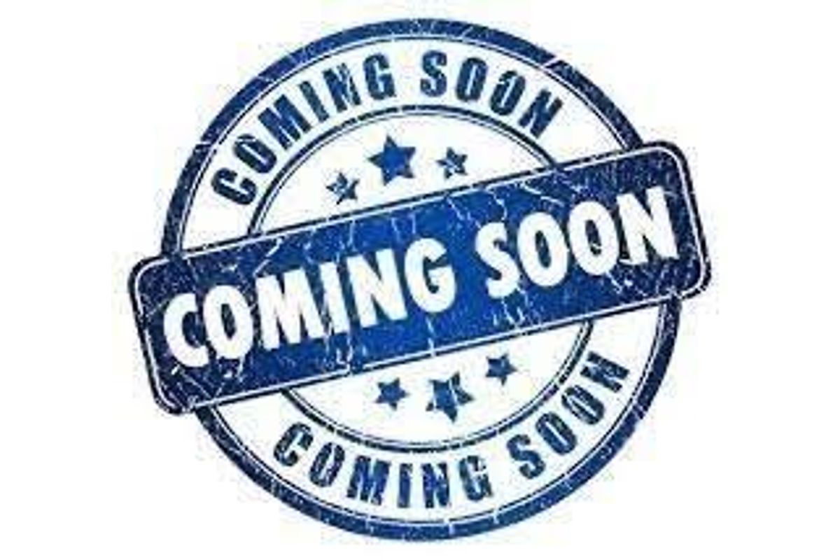 2024 Ford Everest Ambiente