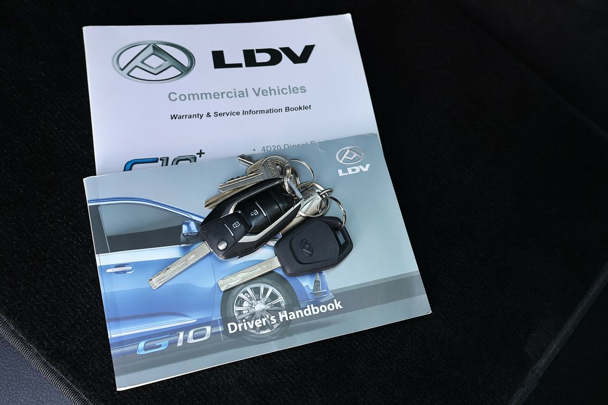 2021 LDV G10 + SV7C