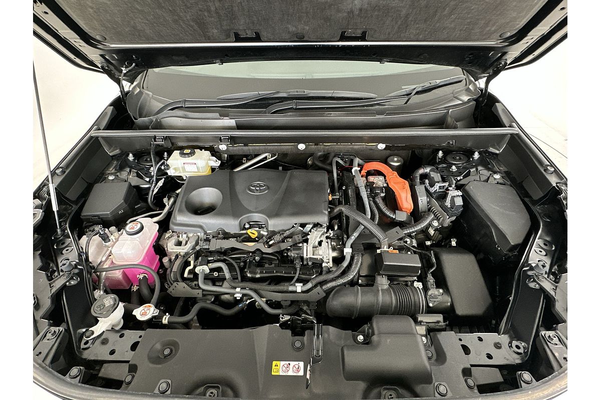 2021 Toyota RAV4 Cruiser AXAH54R