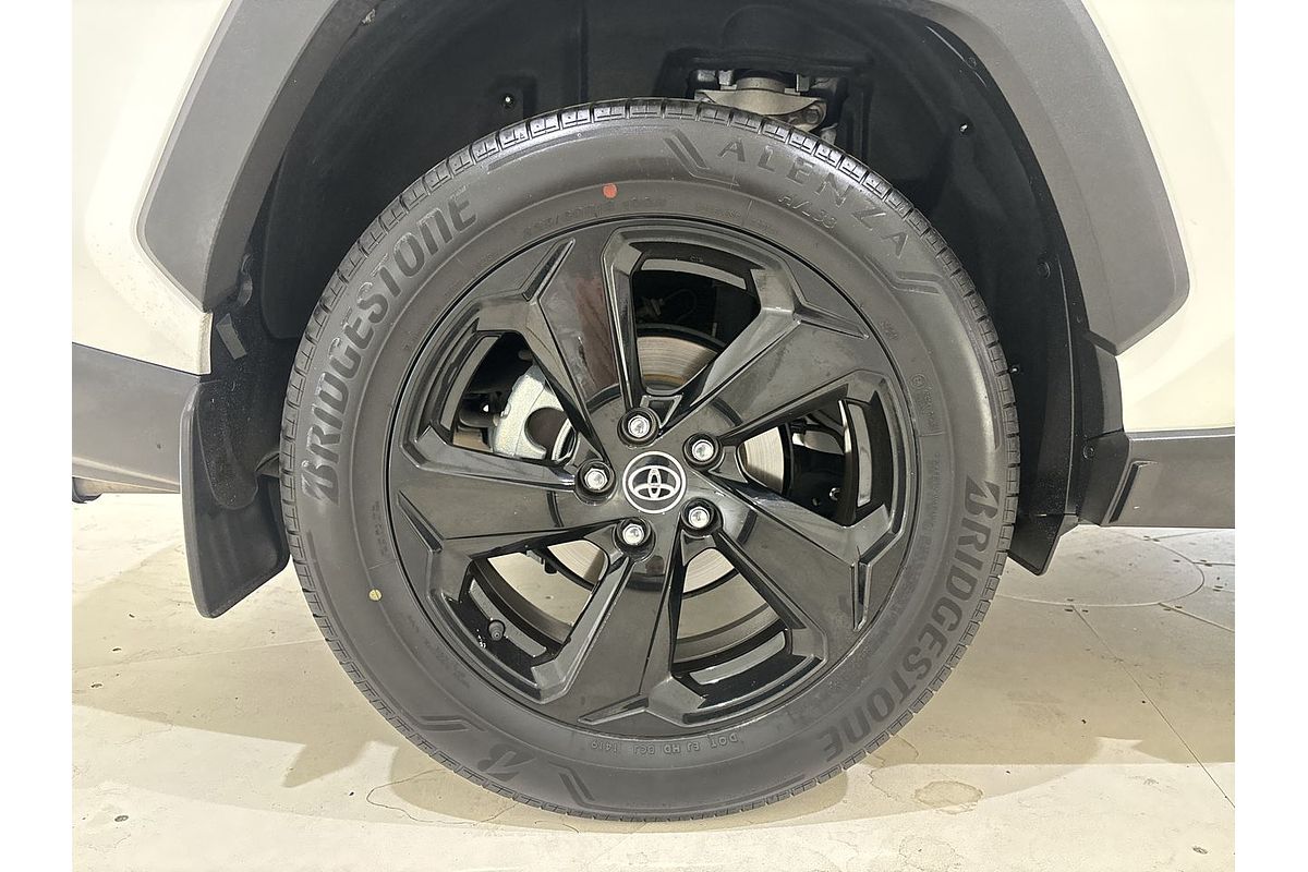 2019 Toyota RAV4 Cruiser AXAH52R