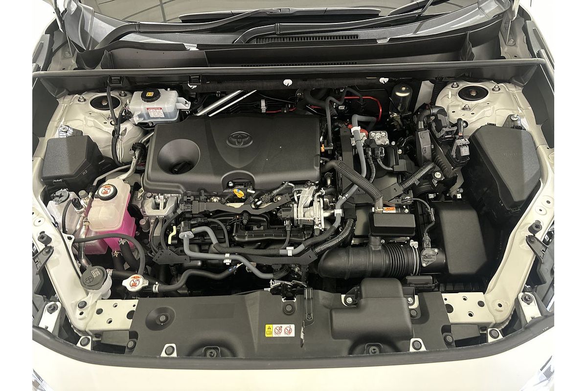 2019 Toyota RAV4 Cruiser AXAH52R