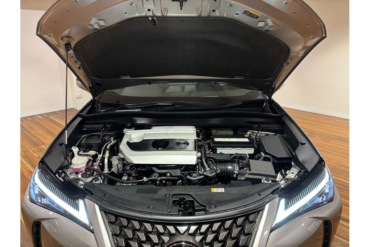2022 Lexus UX UX200 Luxury MZAA10R