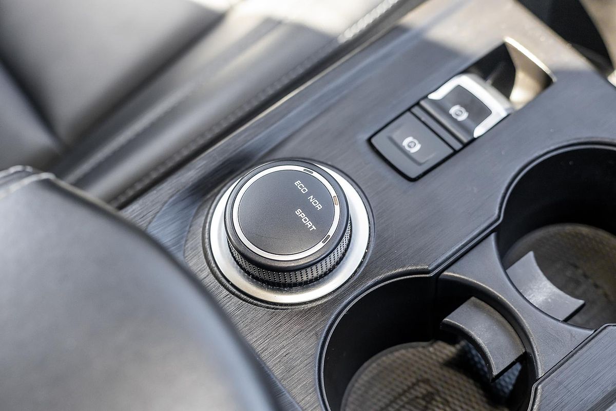 2022 GWM Ute Cannon NPW Rear Wheel Drive