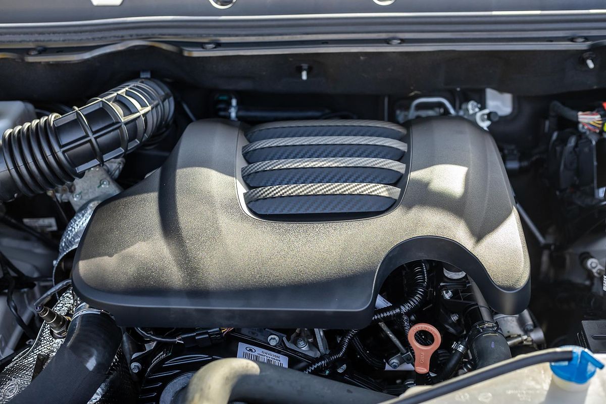 2022 GWM Ute Cannon NPW Rear Wheel Drive