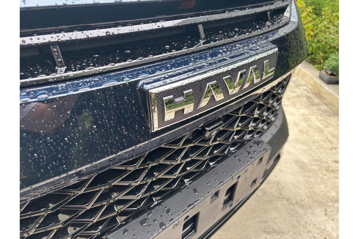2025 GWM Haval H6GT Ultra PHEV B03