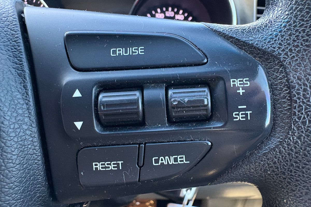 2017 Kia Carnival S YP