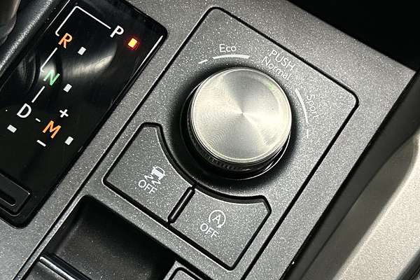 2021 Lexus NX NX300 Luxury AGZ10R