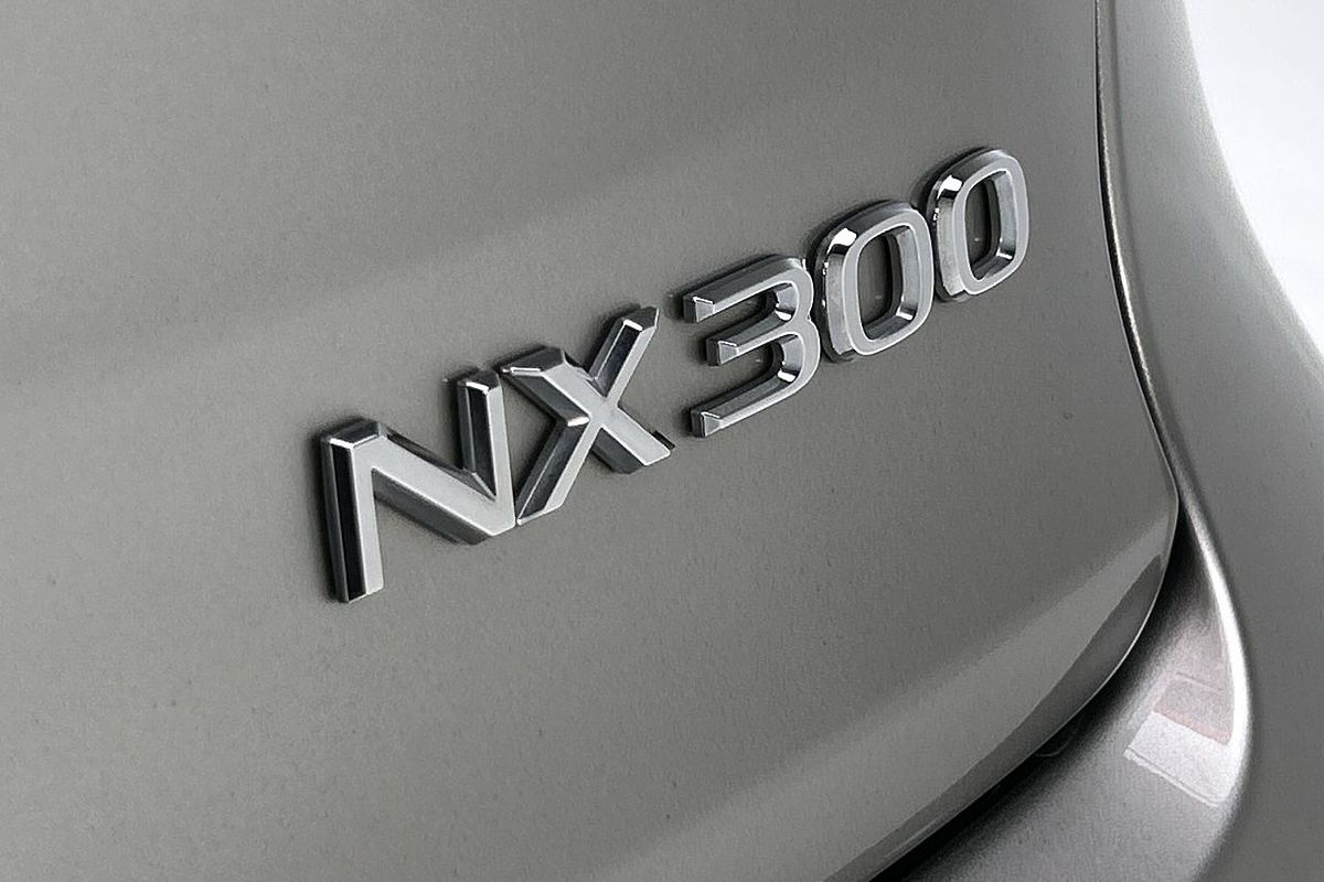 2021 Lexus NX NX300 Luxury AGZ10R