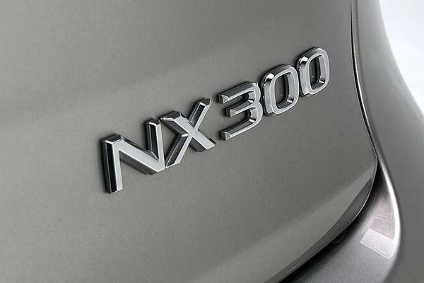 2021 Lexus NX NX300 Luxury AGZ10R