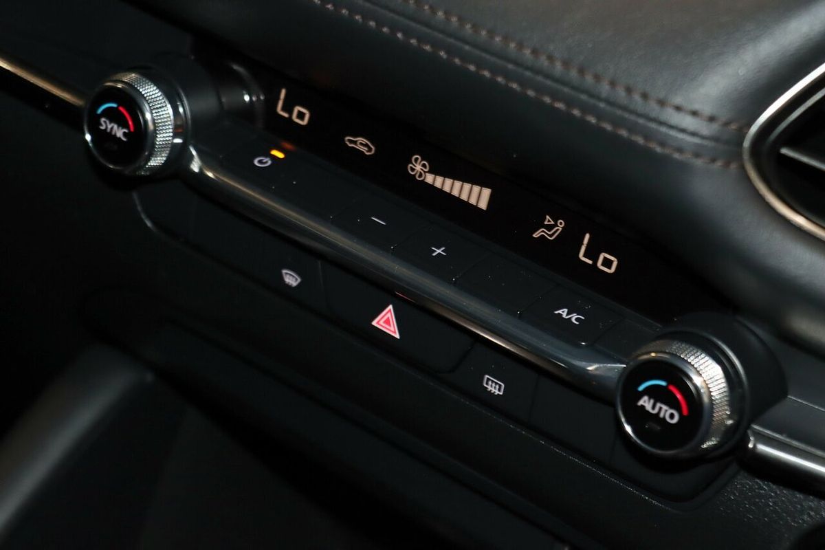 2019 Mazda 3 G20 Evolve BP Series