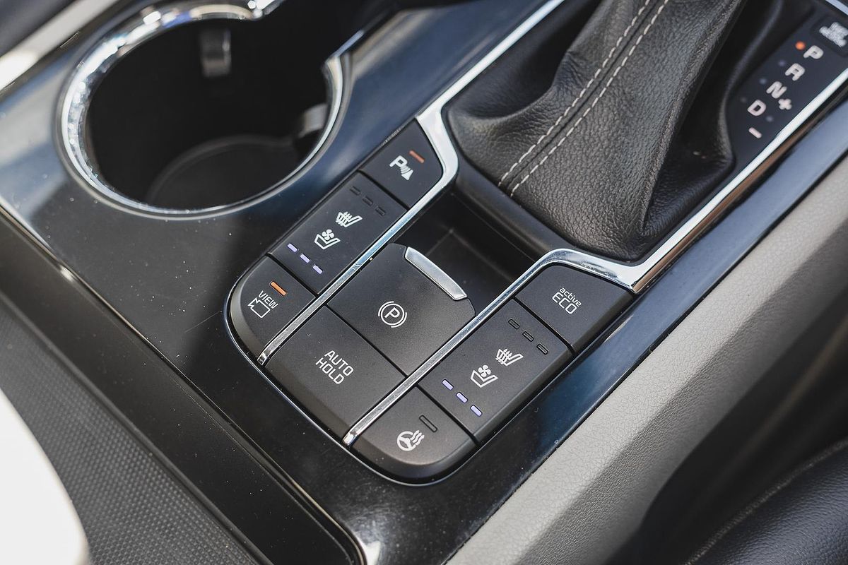 2019 Kia Carnival Platinum YP
