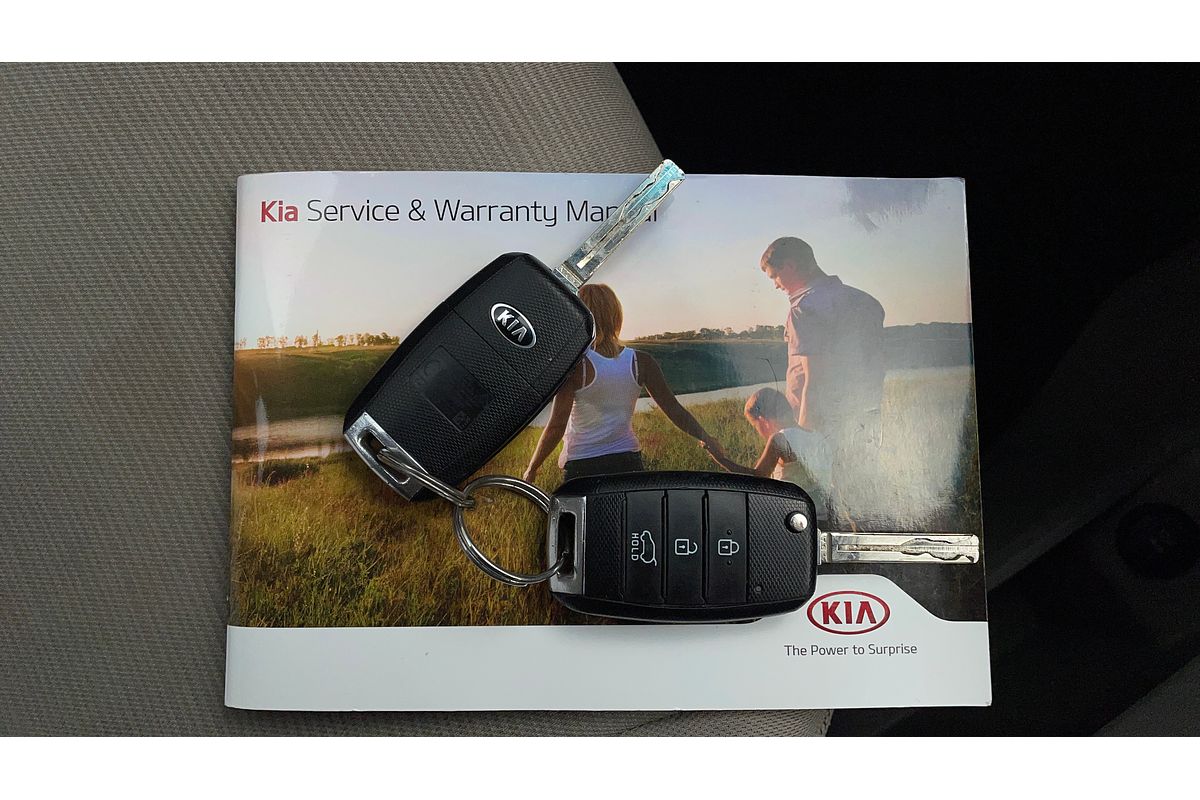 2017 Kia Carnival S YP