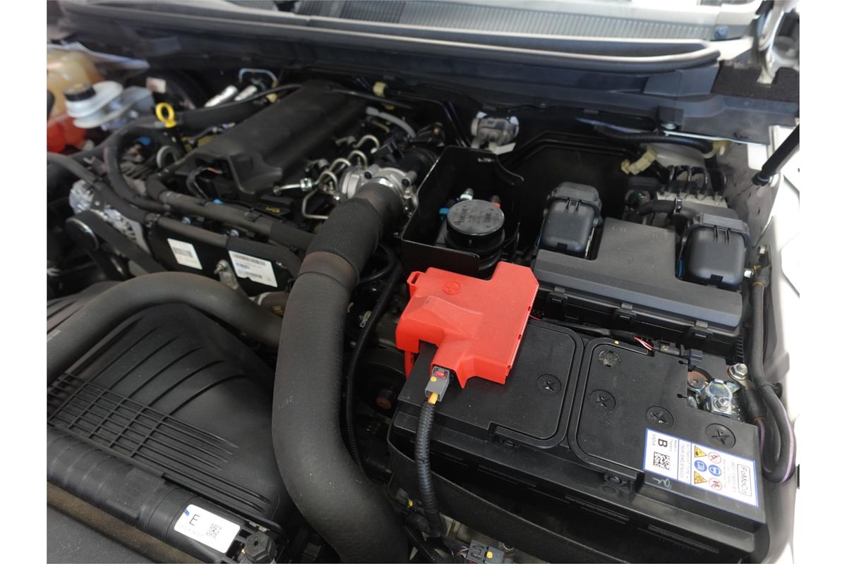 2019 Ford Ranger XL Hi-Rider PX MkIII Rear Wheel Drive