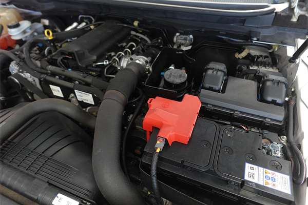 2019 Ford Ranger XL Hi-Rider PX MkIII Rear Wheel Drive