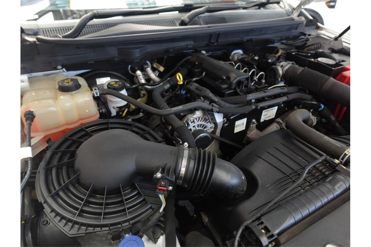 2019 Ford Ranger XL Hi-Rider PX MkIII Rear Wheel Drive