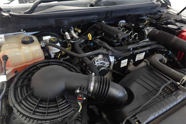 2019 Ford Ranger XL Hi-Rider PX MkIII Rear Wheel Drive