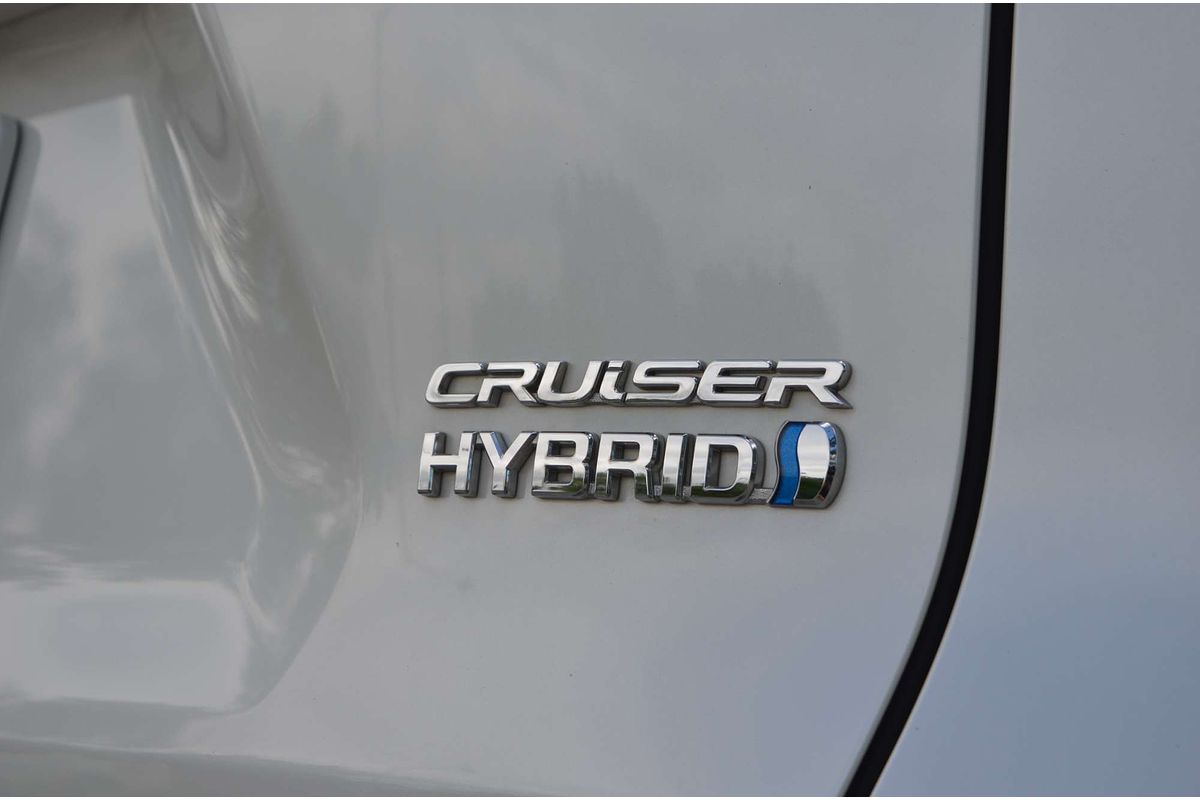 2019 Toyota RAV4 Cruiser AXAH54R