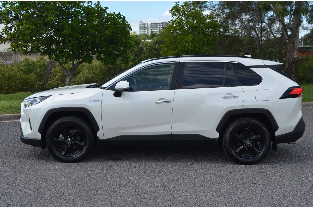 2019 Toyota RAV4 Cruiser AXAH54R