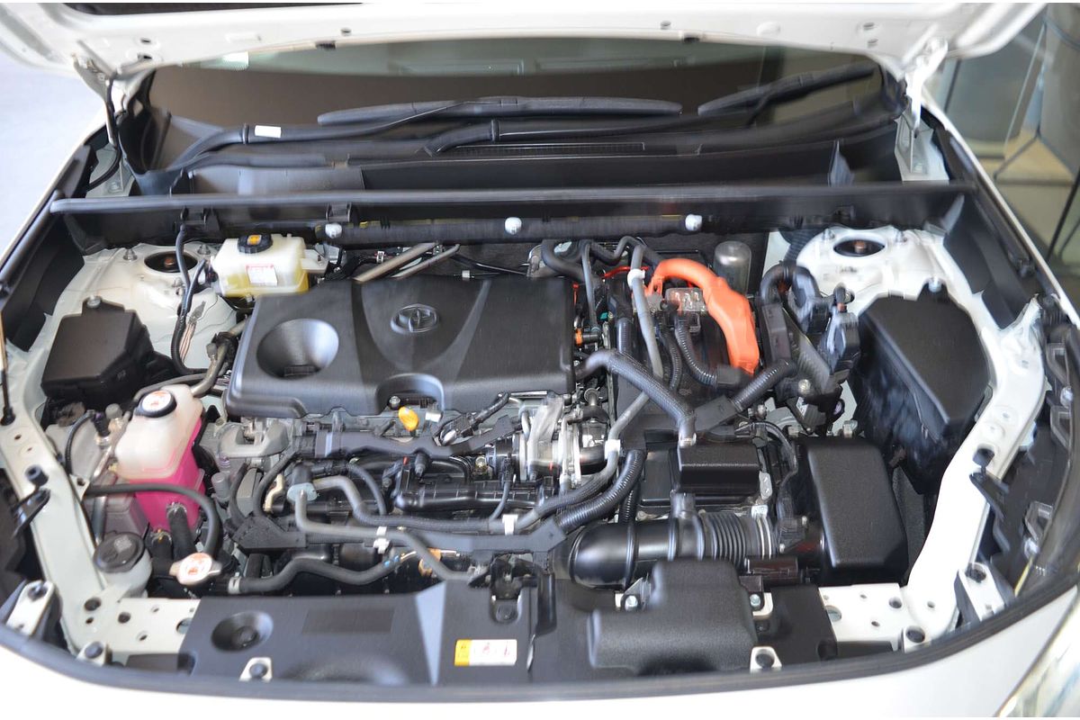 2019 Toyota RAV4 Cruiser AXAH54R