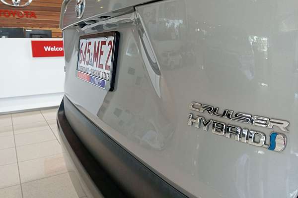 2020 Toyota RAV4 Cruiser AXAH54R