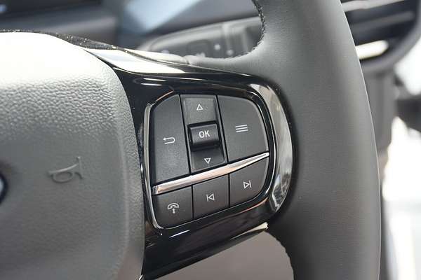 2024 Ford Tourneo Active AV SWB