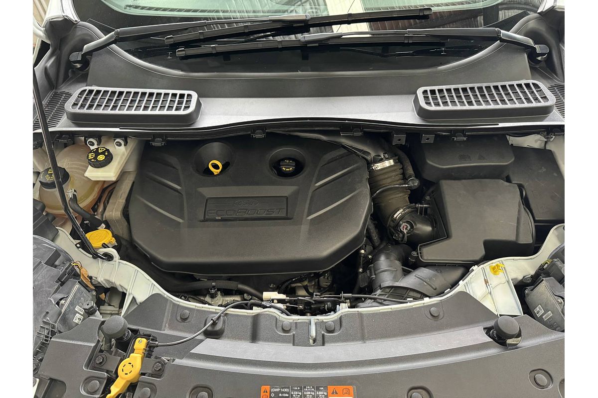 2018 Ford ESCAPE ST-LINE ZG MY19.25