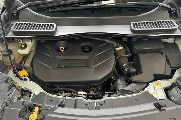 2018 Ford ESCAPE ST-LINE ZG MY19.25