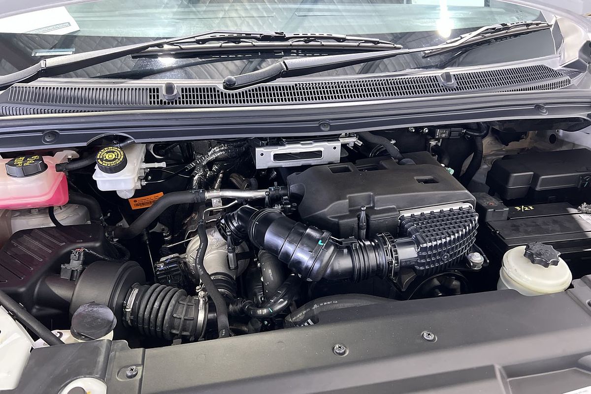 2023 LDV G10 + SV7C