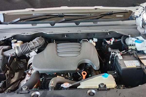 2024 GWM Ute Cannon-X NPW 4X4