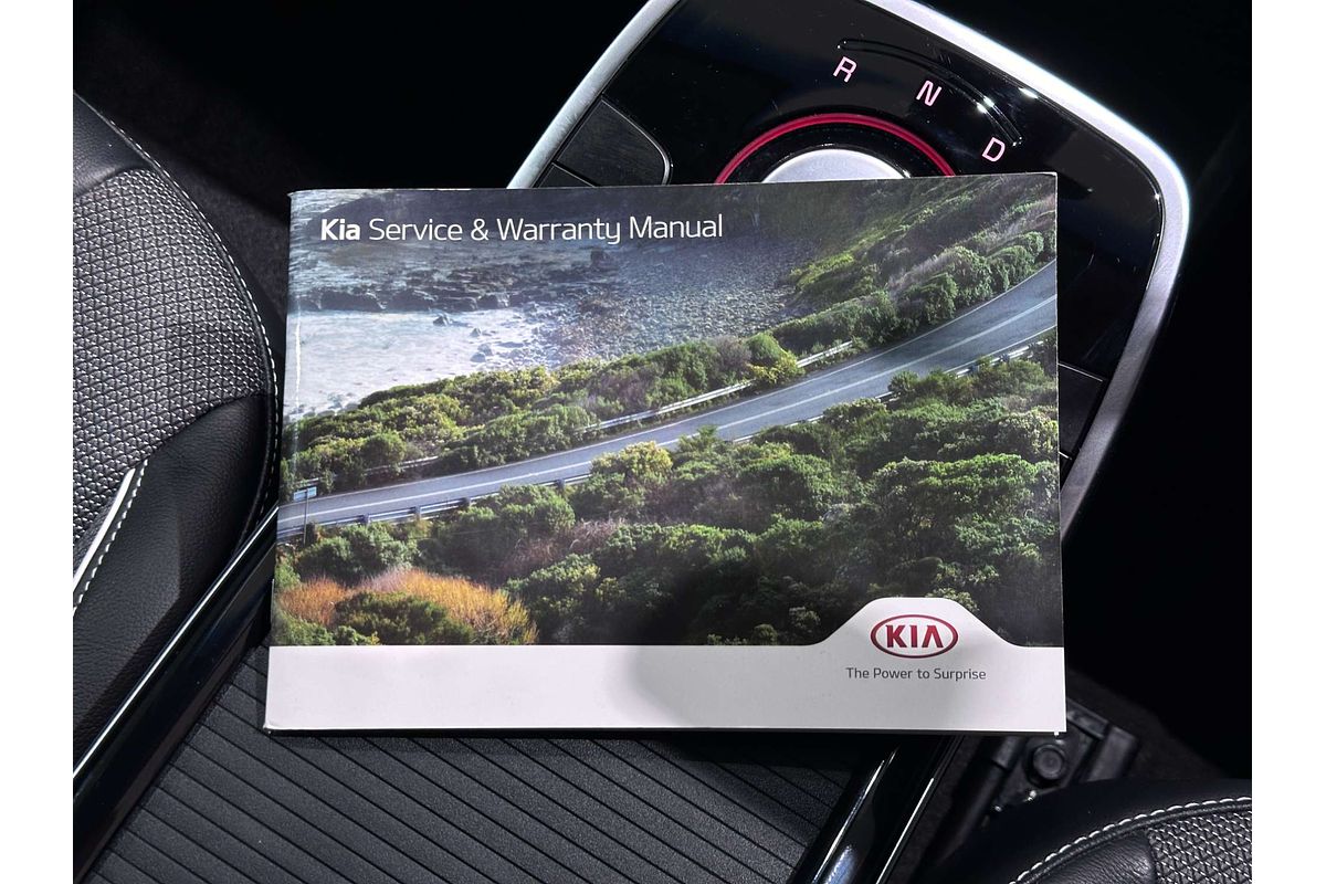 2021 Kia Niro EV S DE